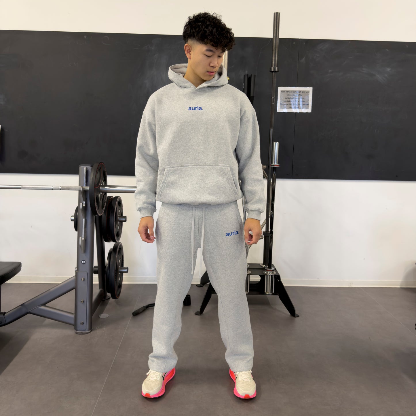 auria. Hoodie — Light Grey