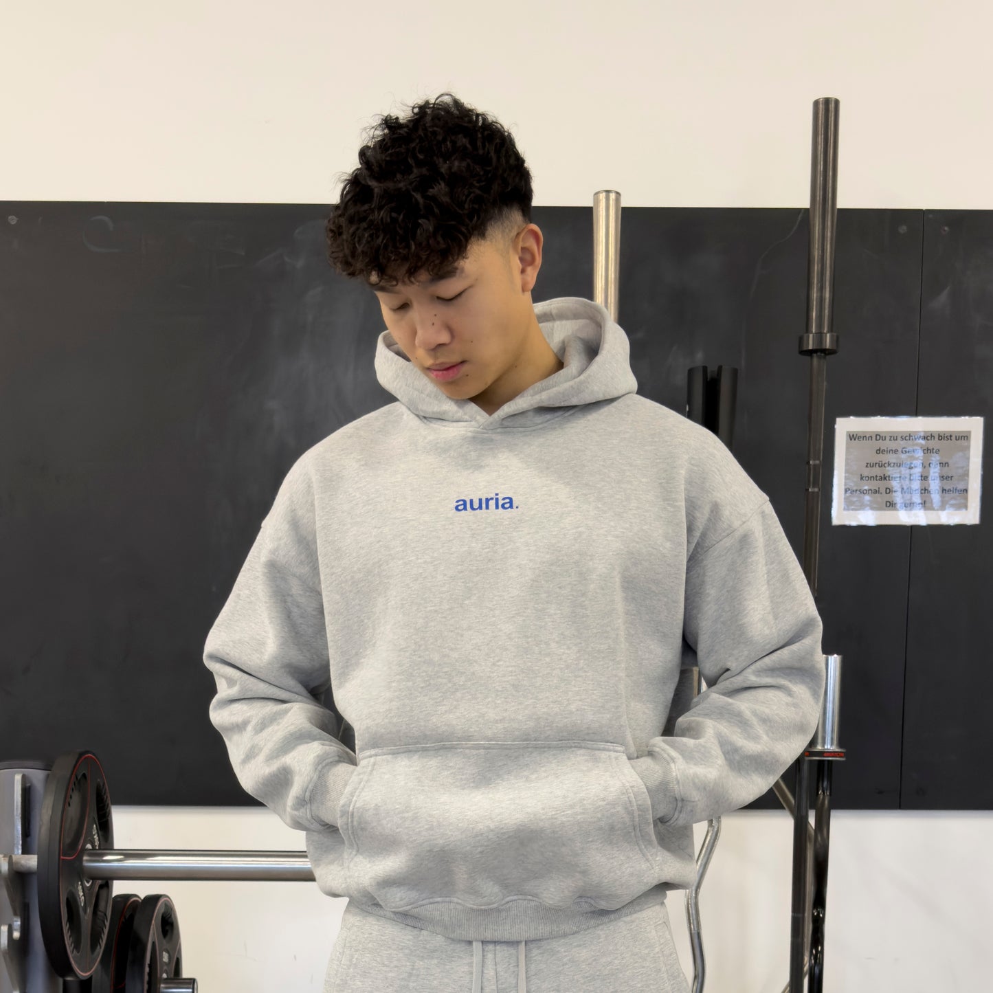 auria. Hoodie — Light Grey