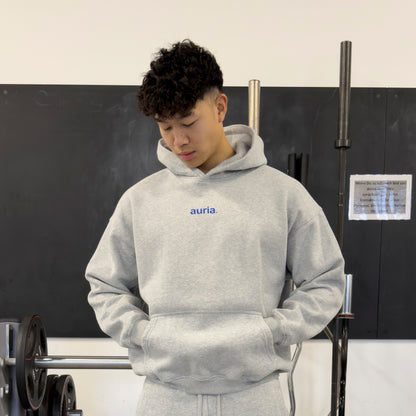 auria. Hoodie — Light Grey
