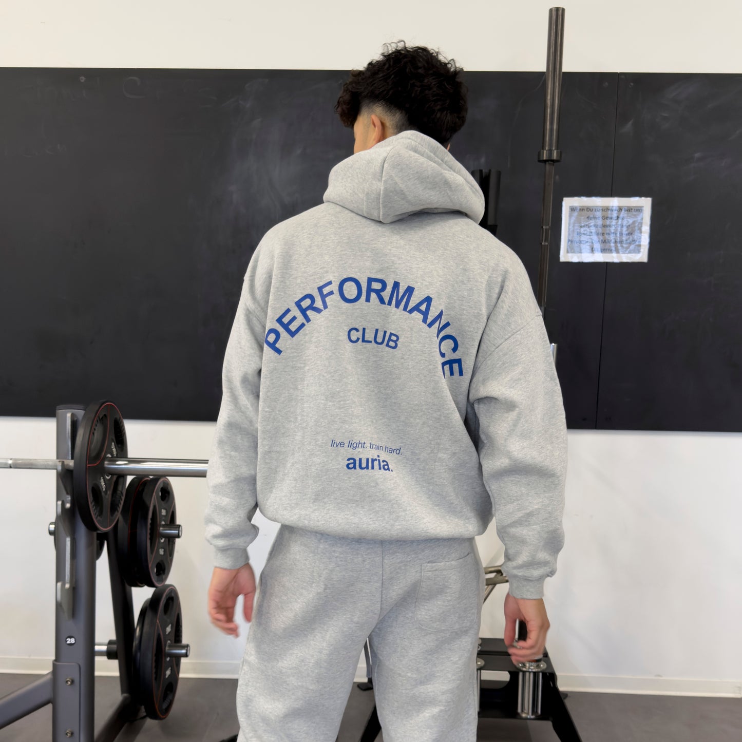 auria. Hoodie — Light Grey